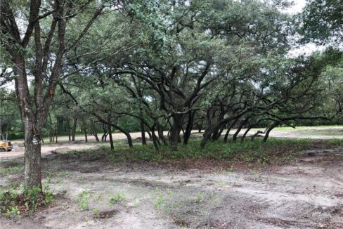 21401 S BUCKHILL RD CLERMONT