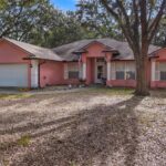 21429 COUNTY ROAD 455 CLERMONT, FL 34715-6812 MLS #G5076968 #8831963005